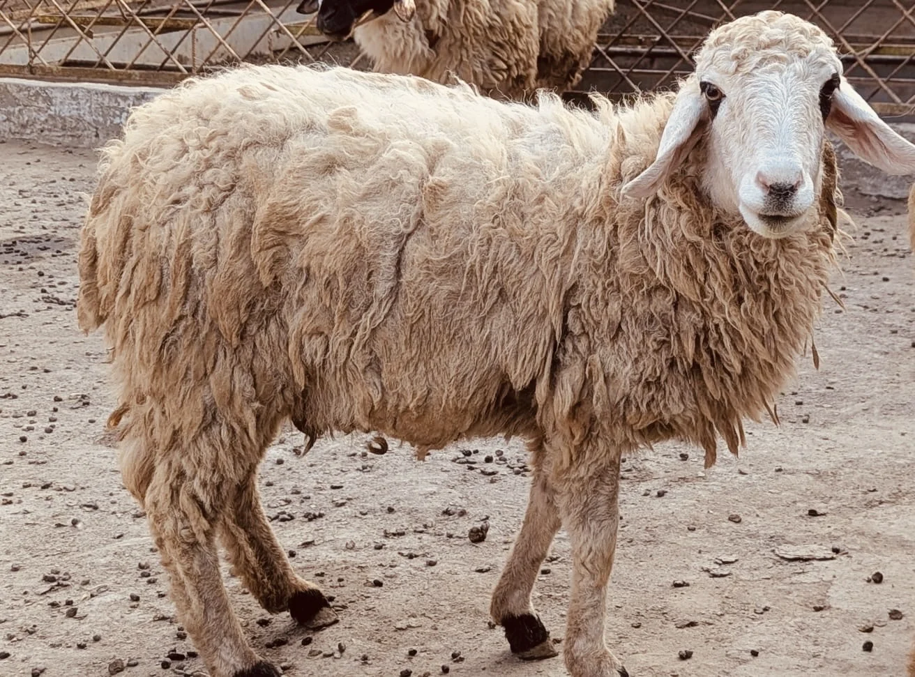 A41f45fb 18d7 4291 9f56 bd67422f0864