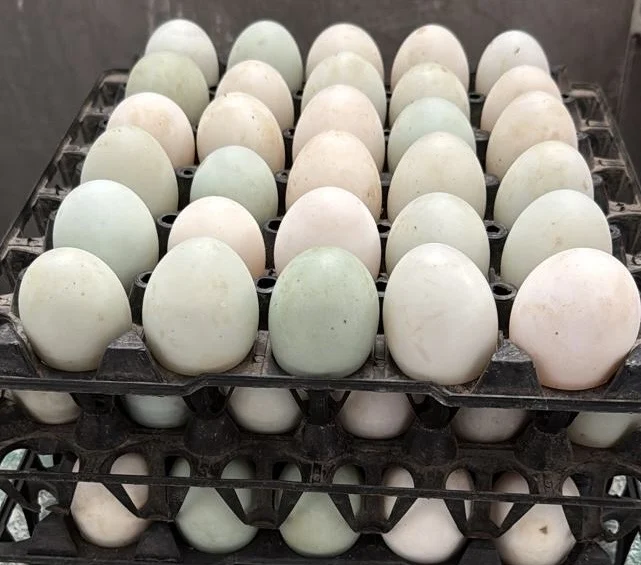 D75312e9 2cab 468b 9841 90173790dd75